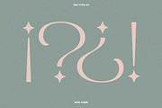 TAN - MON CHERI, a Sans Serif Font by TanType (Thumbnail 8 of 23)
