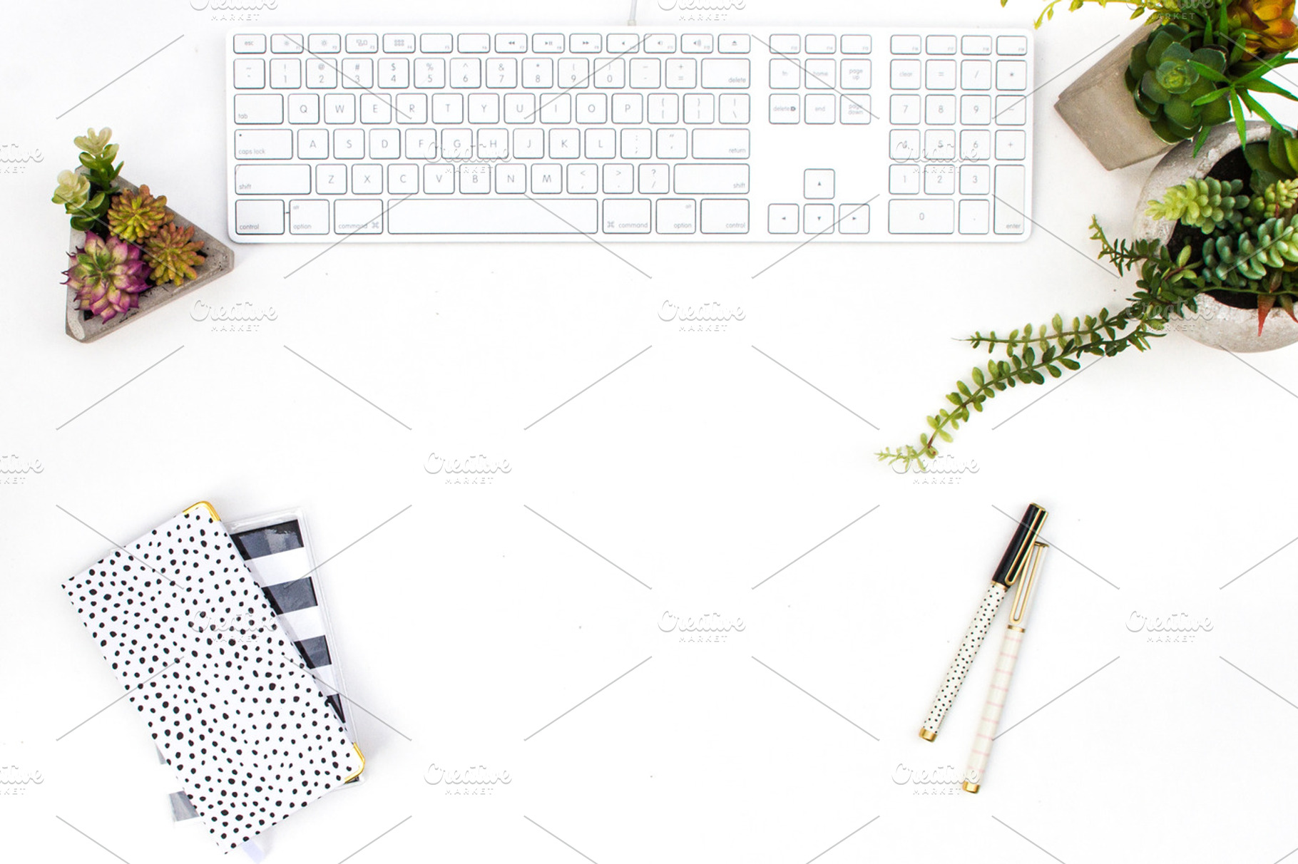 Styled Stock Photography Succulents, a Photo by Gorgeous Graphics