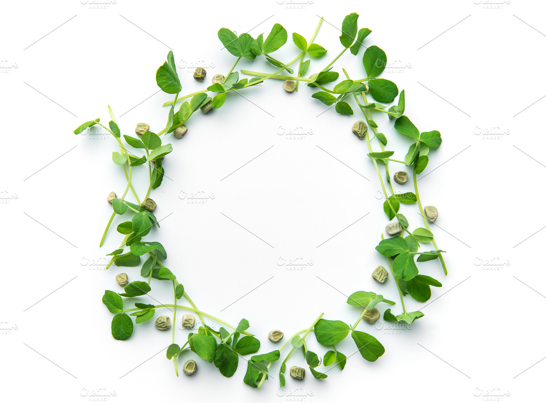 Pea microgreens circular frame with seeds on white, a Food & Drink Photo by Olena Rudo