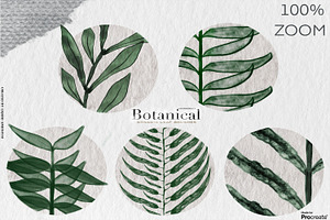 Botanical Greenery Box For Procreate