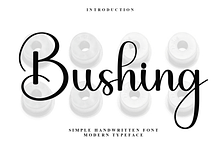 Bushing