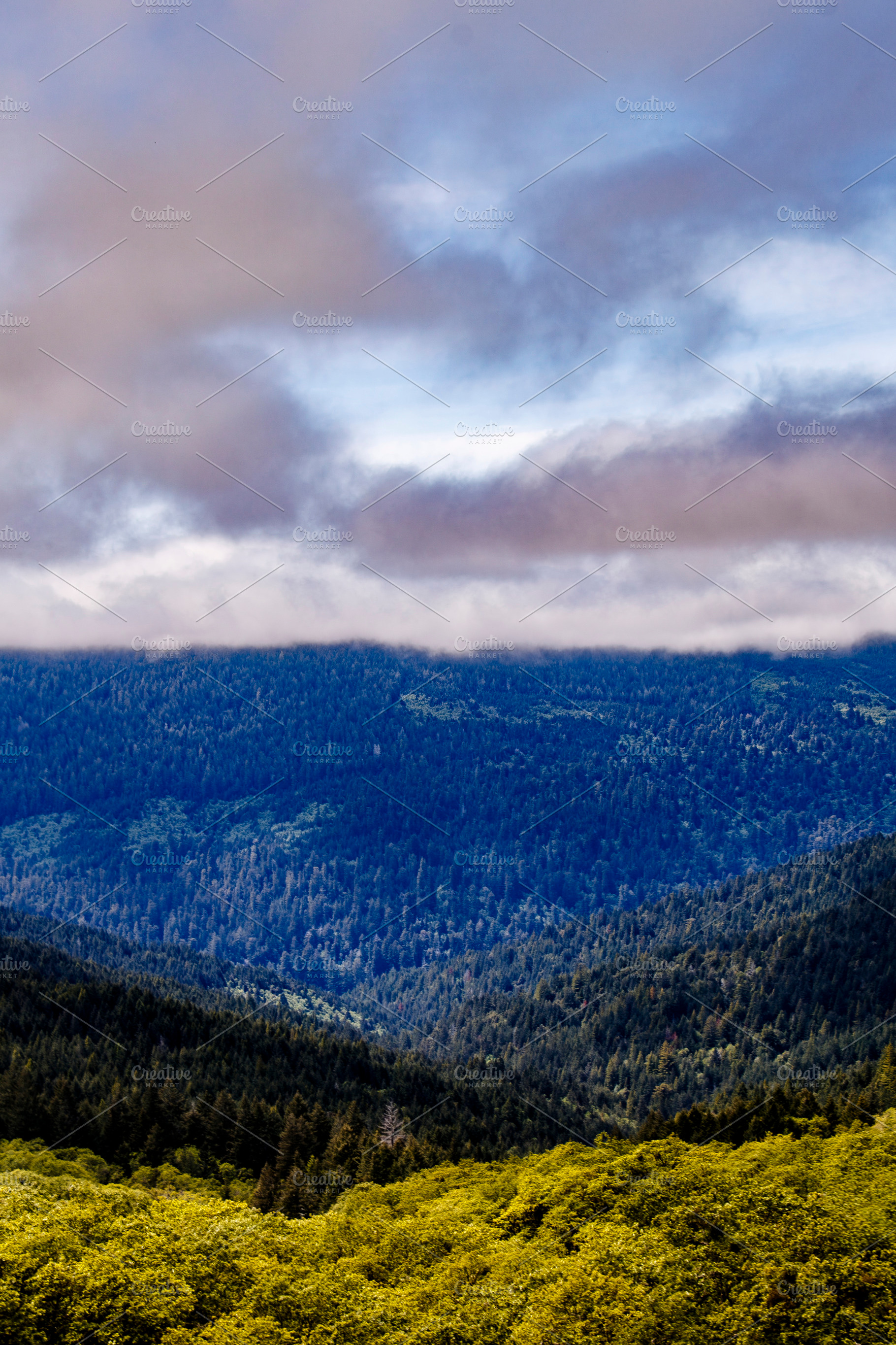 Coastal Fog Above the Green Hills, a Nature Photo by Jillian Butolph