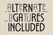 PREQUEL DISPLAY, a Sans Serif Font by Glowtype (Thumbnail 2 of 15)