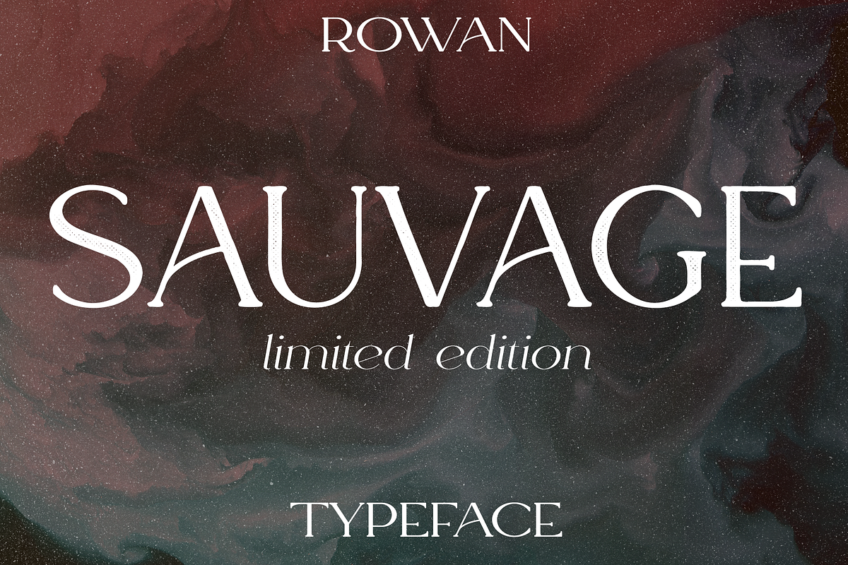 Rowan typeface - 116 styles & script, a Serif Font by VP Fonts (Photo 9 of 18)