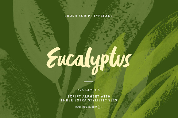 Eucalyptus Brush Script preview 6