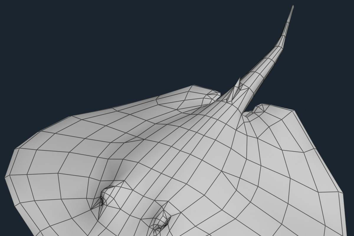 3DRT - Sealife - Stingray, an Animal 3D Model by 3DRT.com (Photo 3 of 3)