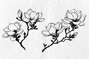 Magnolia SVG - Flowers Line Art SVG, an Object Graphic by Dervik Art Store (Thumbnail 4 of 6)