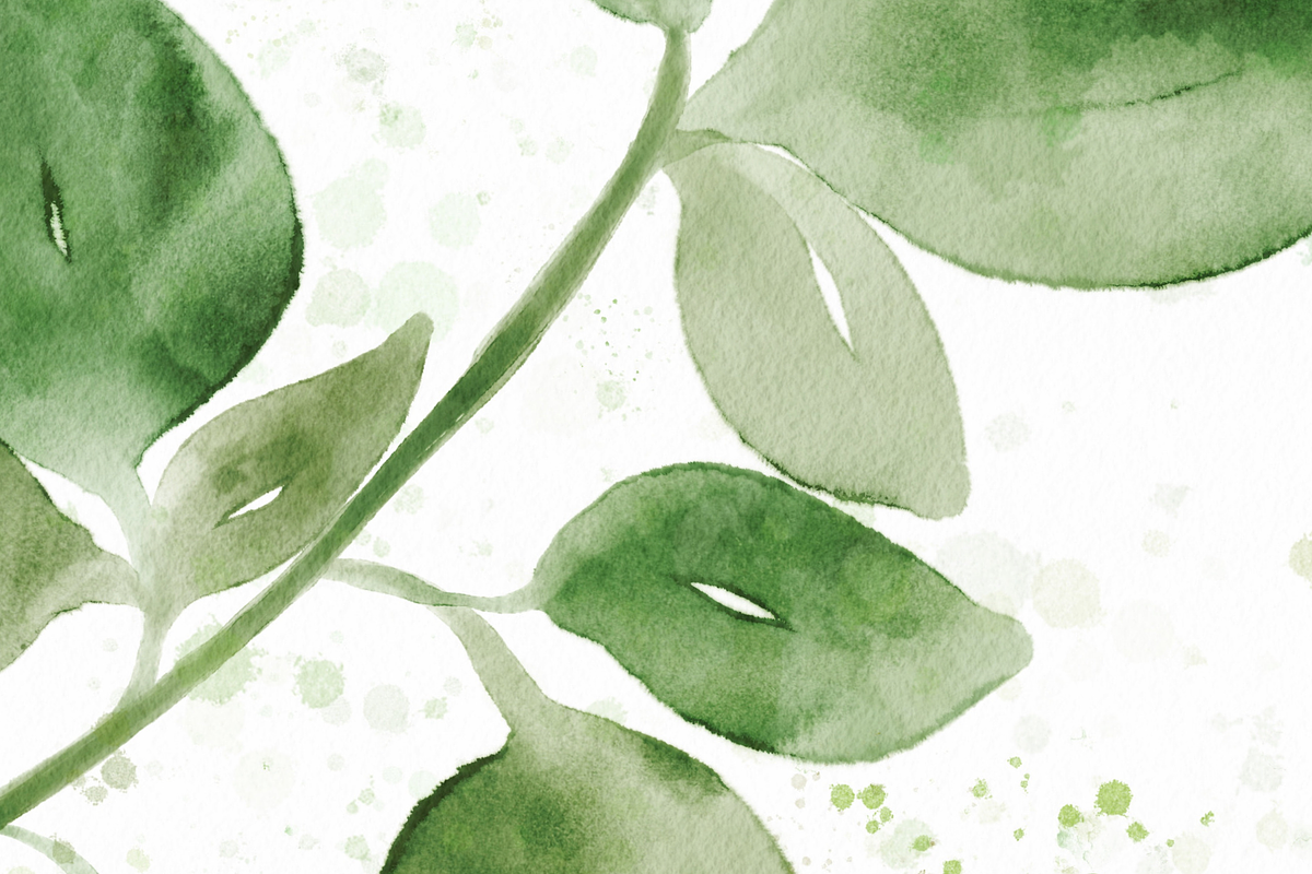 Watercolor Procreate Brushes, a Brush Add-On by Angela Roze (Photo 11 of 12)