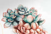 Succulent Builder Procreate Brushkit, a Brush Add-On by Wooly Pronto (Thumbnail 6 of 7)