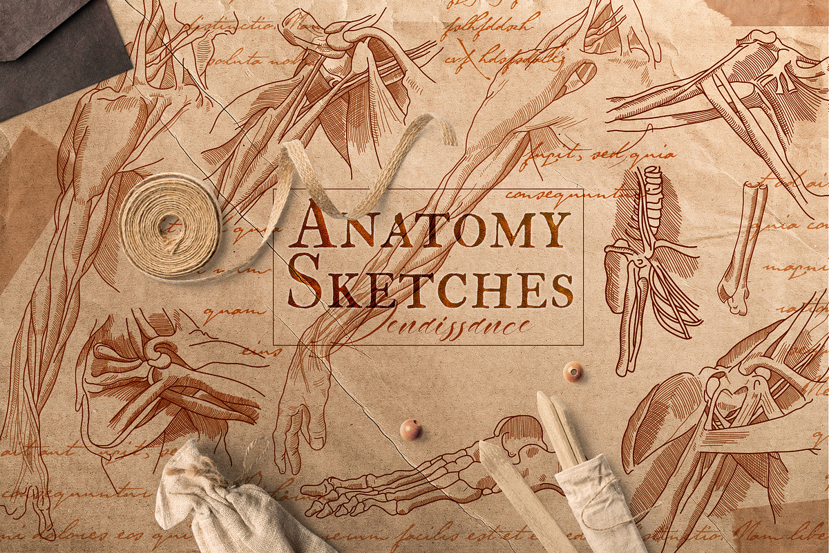 DA VINCI RENAISSANCE SKETCHES, an Object Illustration by Luna Dreams (Photo 3 of 16)