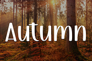 Holiday, a Script Font by InermediaSTUDIO (Thumbnail 7 of 7)