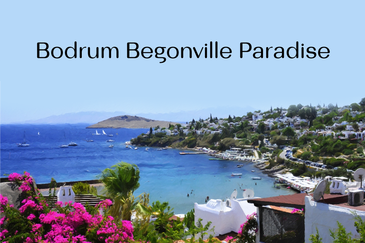 Bodrum Soft - 30% SAVE, a Sans Serif Font by BULENT YUKSEL (Photo 5 of 12)
