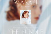 Wasabi LR Presets + Video Filters, a Preset Add-On by TheWayfarerShoppe (Thumbnail 1 of 7)