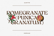 Morphling, a Serif Font by Glowtype (Thumbnail 4 of 12)