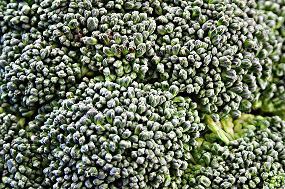 Broccoli preview 3