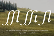 Shiffont Serif, a Serif Font by MasaType (Thumbnail 10 of 12)