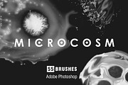 All Photoshop Stamp Brushes Bundle, a Brush Add-On by Struvictory.art (Thumbnail 35 of 37)