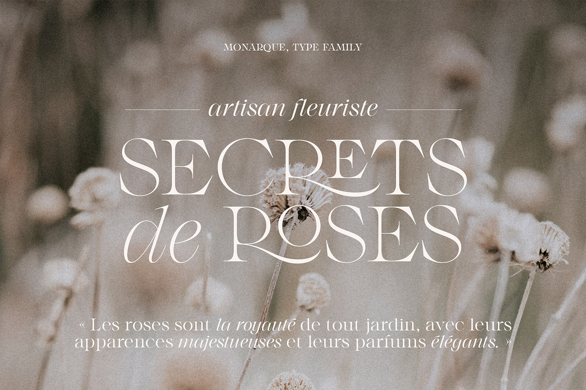 Monarque - Classy Serif Type Family, a Serif Font by The Paper Town (Photo 3 of 15)