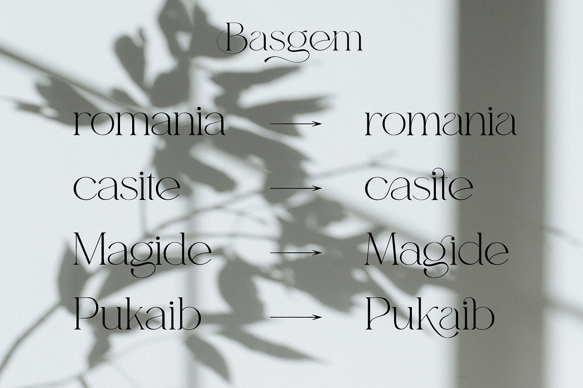 Basgem – Modern Serif Typeface, a Serif Font by Issam Type (Photo 11 of 18)