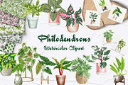 Philodendron Plans Watercolor Set, a Decorative Illustration by BarvArt (Thumbnail 1 of 7)