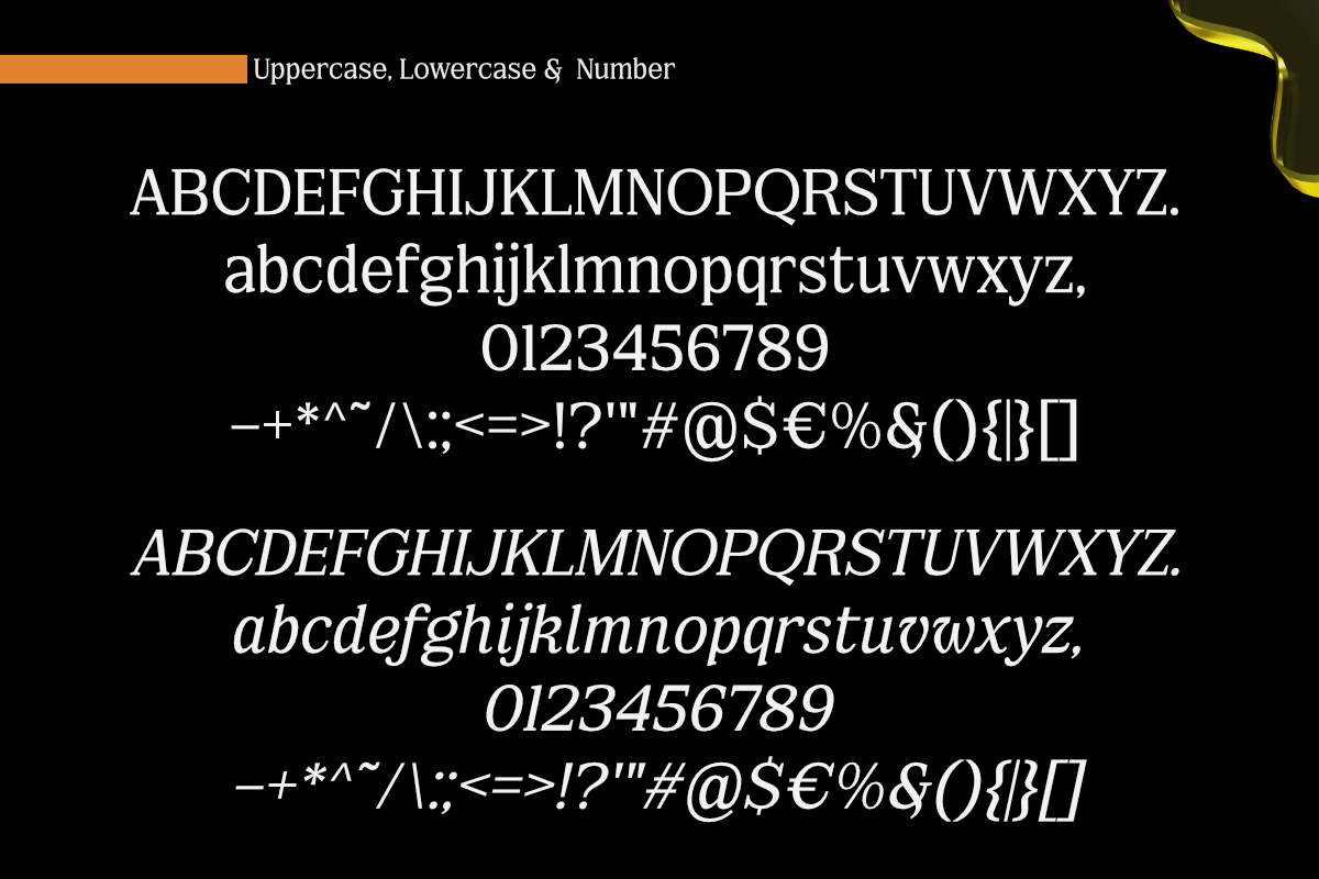FX Njungkel - Serif Family Font, a Serif Font by Differentialtype (Photo 11 of 12)