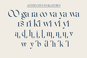 Vasmook, a Serif Font by Sealoung (Thumbnail 15 of 15)