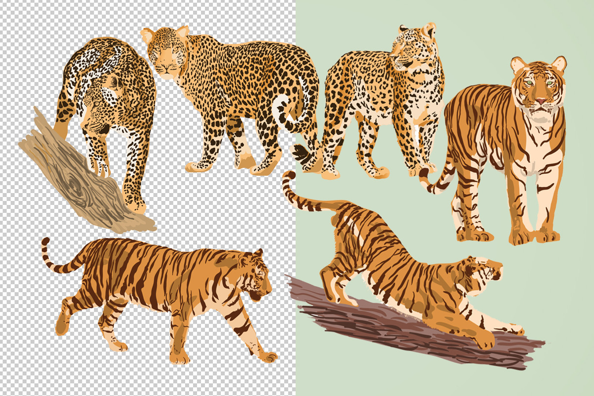 Tiger & Leopard Vector Illustrations, an Animal Illustration by Human-made. Made to feel. (Photo 2 of 2)