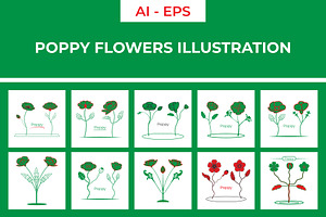 Stylized Poppy Flowers Illustration, a Decorative Illustration by Lakhan1998