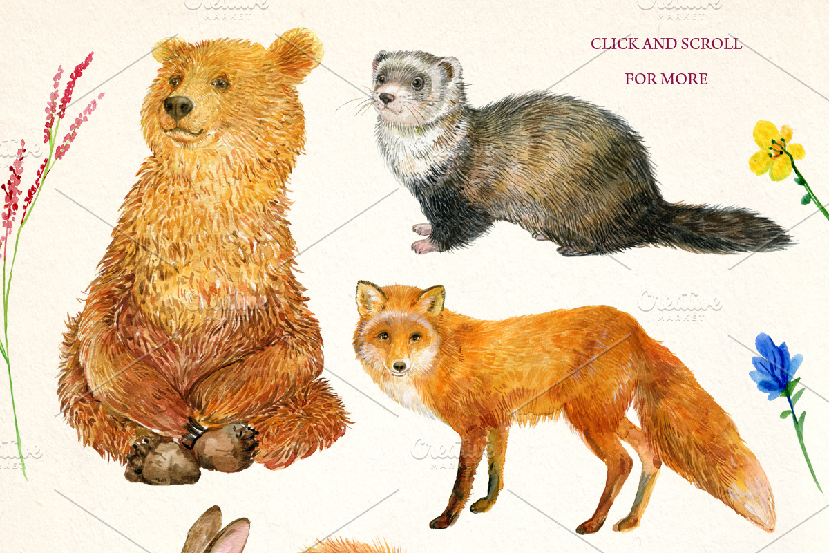 Forest animals .watercolor, an Animal Illustration by MitrushovaArt (Photo 2 of 7)