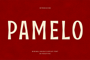 Pamelo - Bold Sans Serif Font, a Sans Serif Font by Pekotype (Thumbnail 1 of 15)