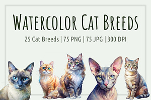 Watercolor Cat Breed Illustrations