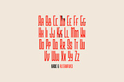 SK Shriftovik — Geometric Font, a Sans Serif Font by Shriftovik Type Foundry (Thumbnail 4 of 14)