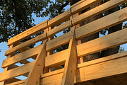 Tree Fort Plans, an Object Graphic by elevatedspaces (Thumbnail 5 of 10)