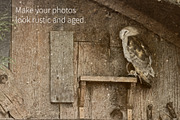 Subtle Corrosion Overlays, a Texture Graphic by Calina Bell (Thumbnail 3 of 5)
