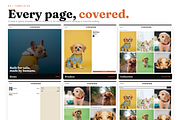 Pawmark Pets Shopify Theme, a Shopify Template by Ibnul Jaif Farabi (Thumbnail 4 of 8)