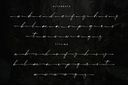 Centralwell, a Handwritten Font by Letterara (Thumbnail 12 of 14)