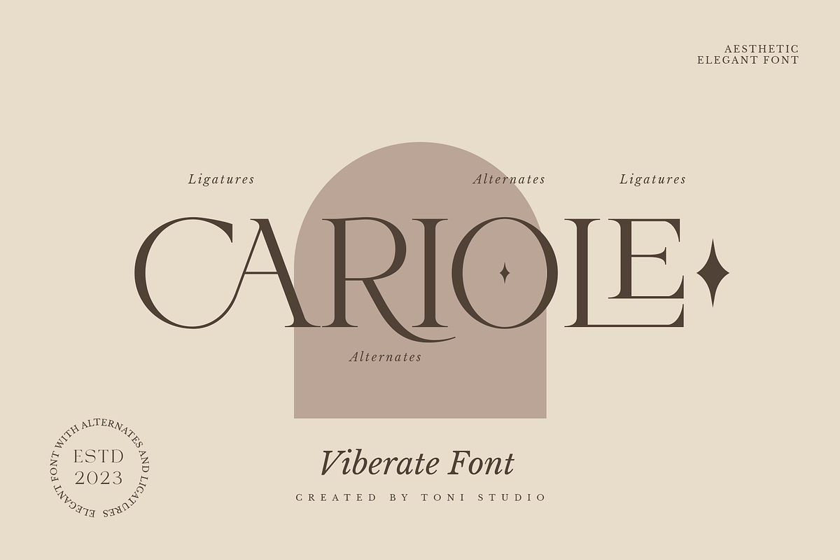VIBERATE || ligature typeface, a Serif Font by ToniStudio (Photo 9 of 10)
