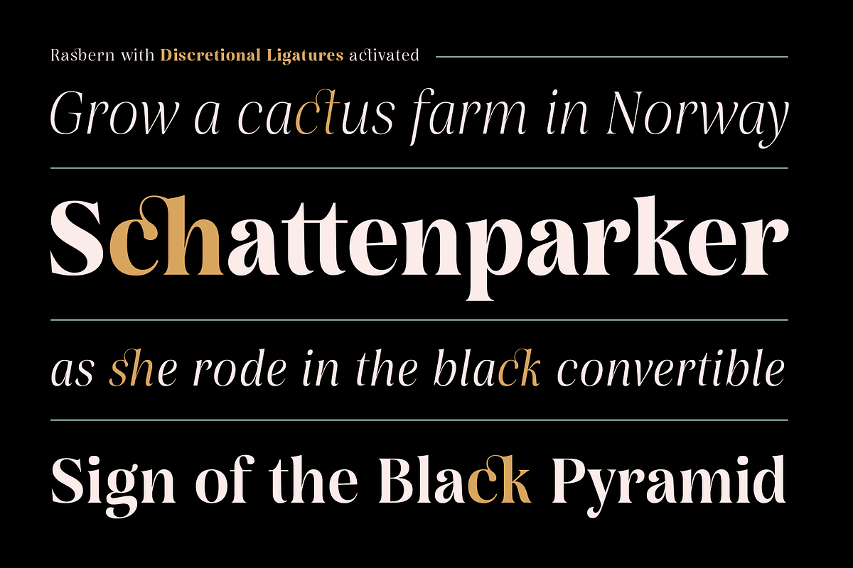 Rasbern — 18 Fonts, a Serif Font by Nasir Udin (Photo 7 of 17)