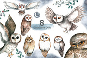 Cute forest owl. Wildlife watercolor, an Animal Illustration by Ann Art Houze (Thumbnail 4 of 10)