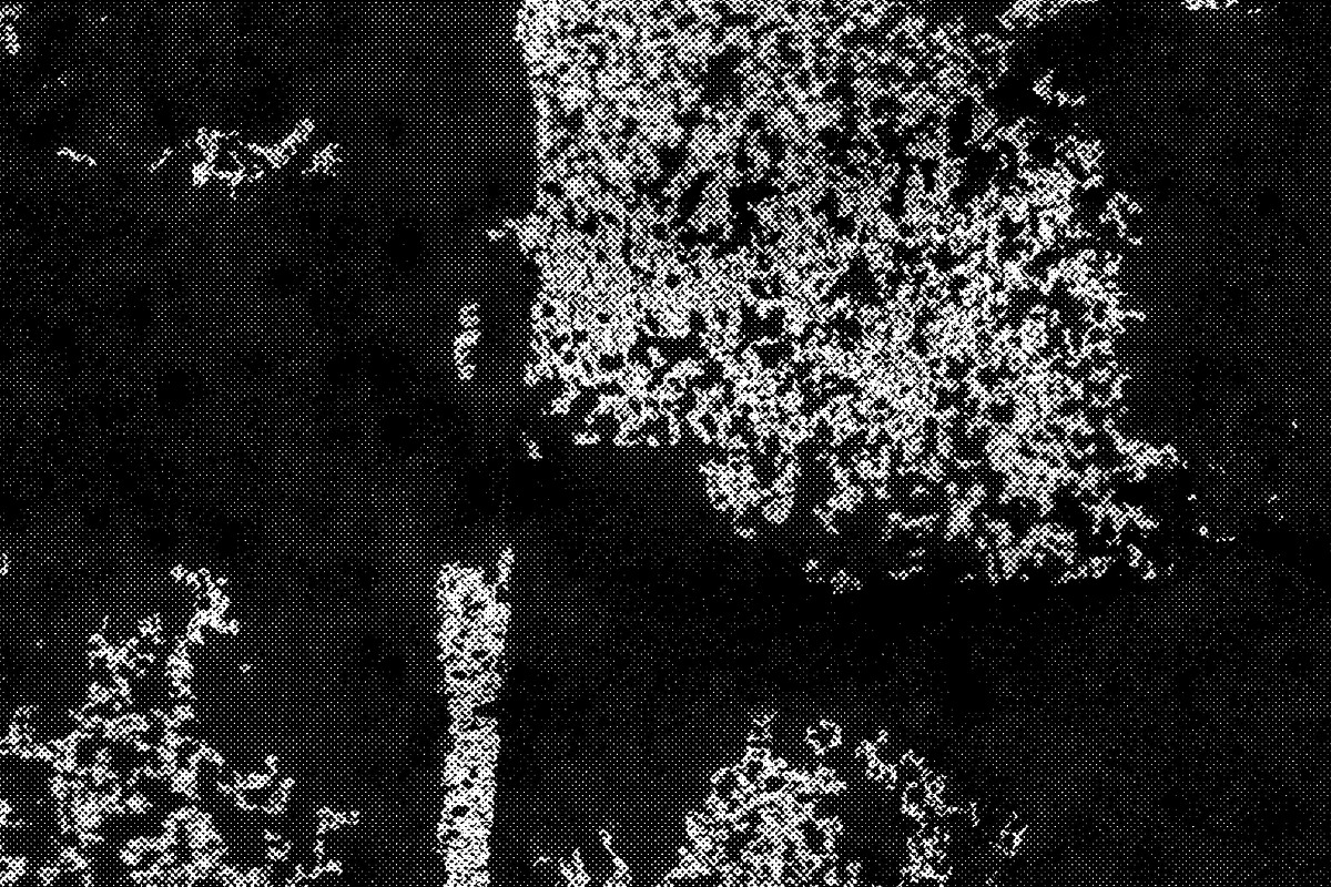 Rolled ink textures volume 01, a Texture Graphic by The Shop (Photo 15 of 16)