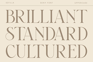 Sefilla Modern Stylistic Serif