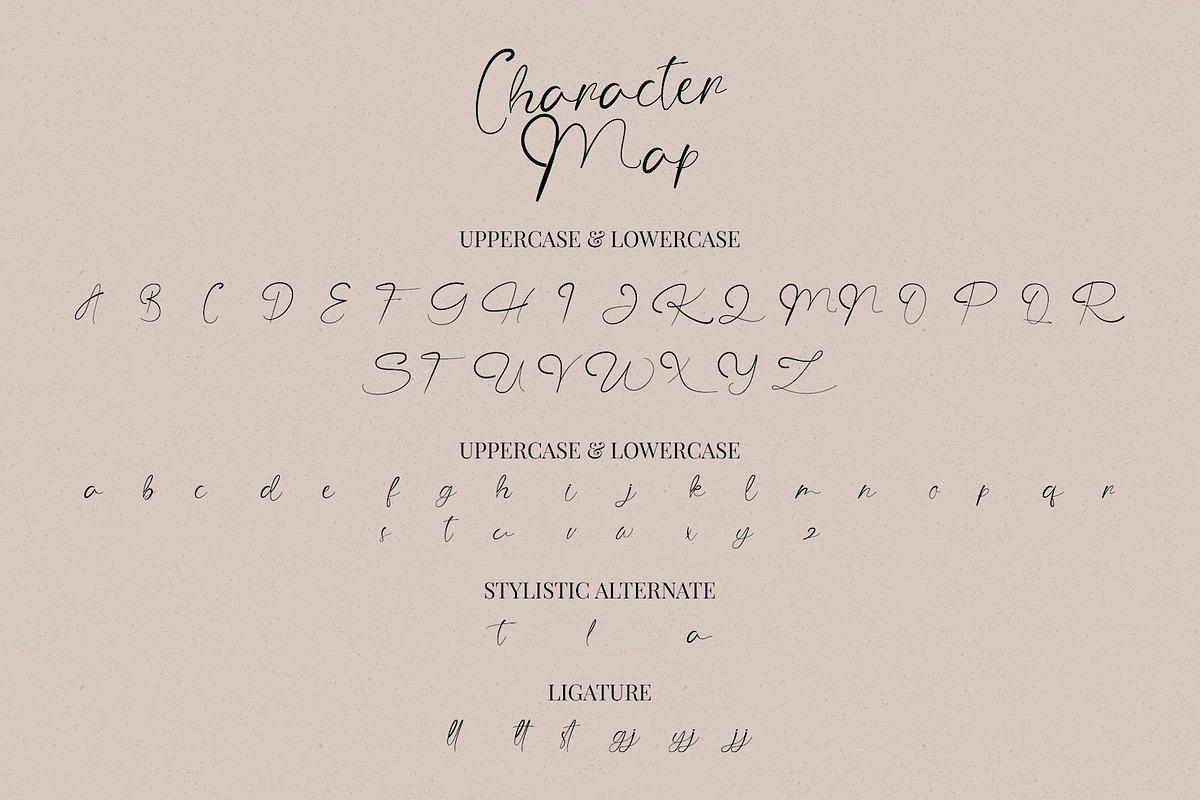 The Angellica - Calligraphy Font, a Script Font by StringLabs (Photo 10 of 13)