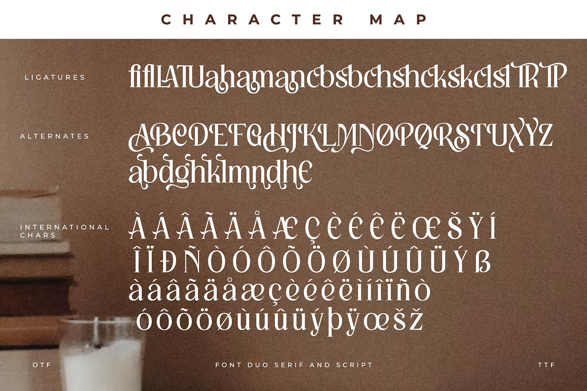 Kingdom Estella Font Duo, a Serif Font by Storytype Studio (Photo 12 of 15)