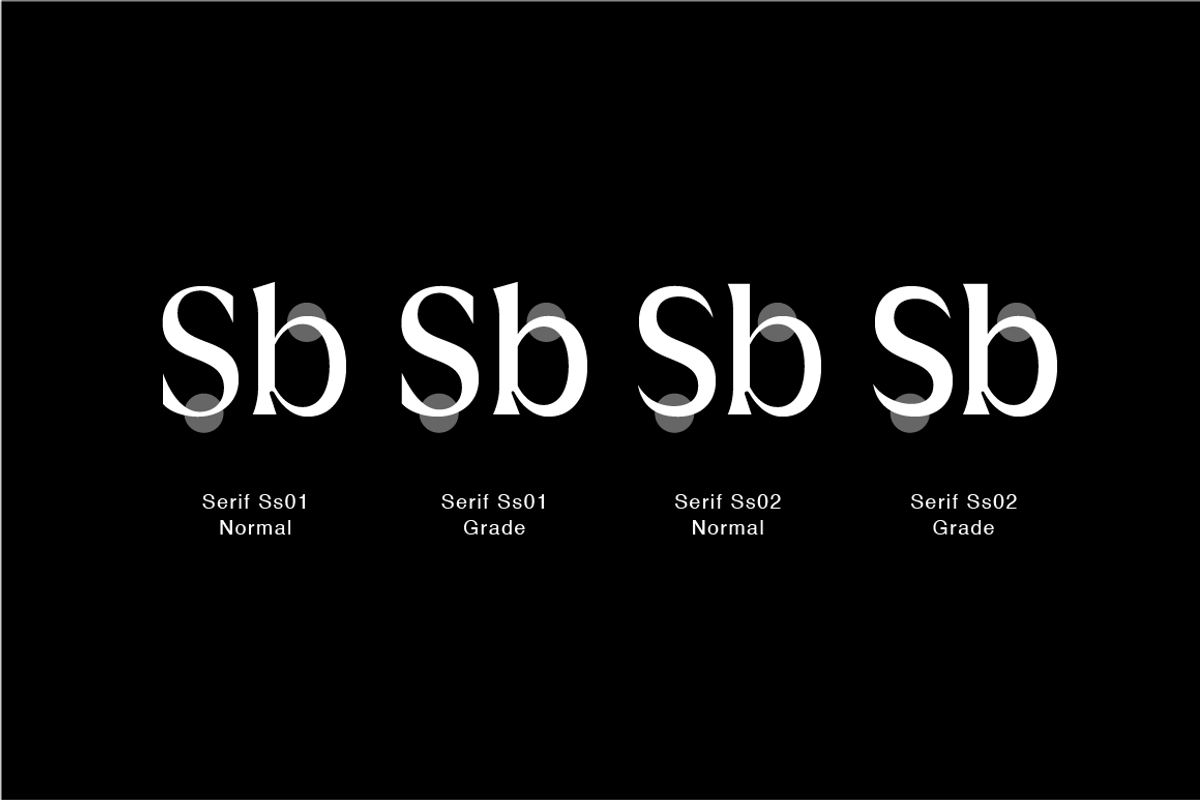 Griggs Serif, a Serif Font by Seniors (Photo 5 of 8)