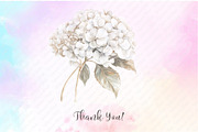 White Floral Clipart, an Illustration by Watercolor design (Thumbnail 12 of 12)