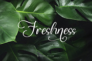 Qianetta, a Script Font by Integritype Studio (Thumbnail 8 of 15)