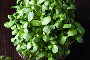 fresh different organic microgreens, a Food & Drink Photo by Marina_Pronina