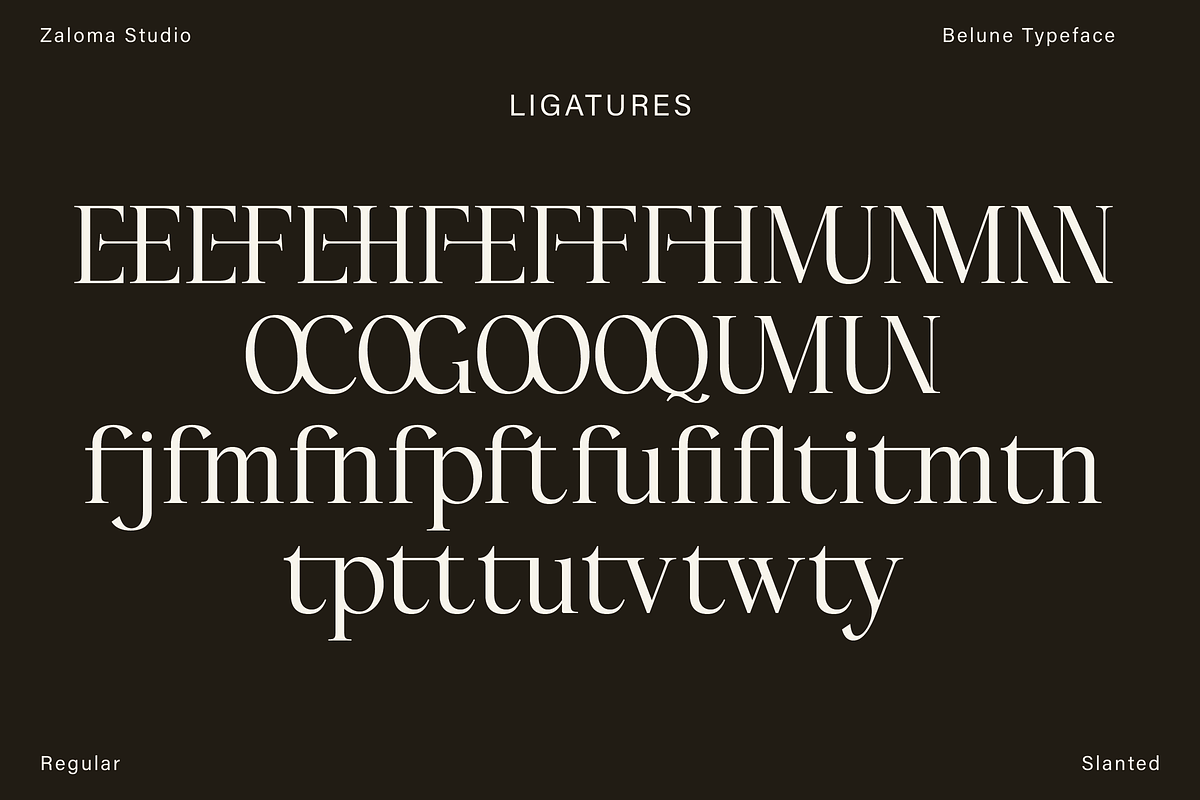 Belune, a Serif Font by Zaloma Studio (Photo 16 of 16)