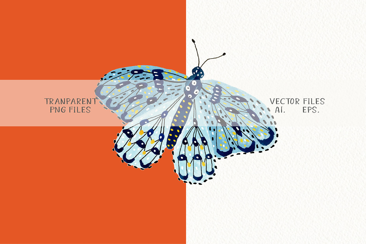 Butterfly Clipart Set, an Animal Illustration by Anna Ivanir (Photo 2 of 5)