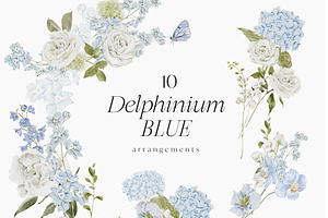 Delphinium Blue Delicate Flowers